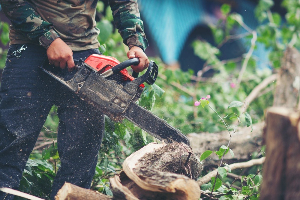 Commercial Tree Surgery in Ireland
