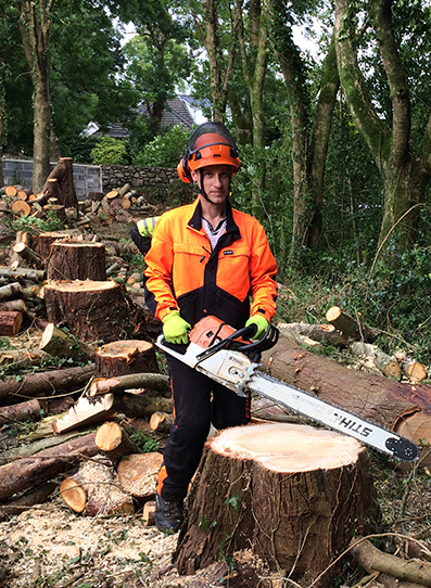 Commercial tree surgery and woodland management works