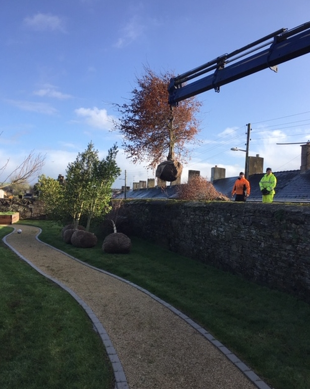 Commercial garden design in Ireland