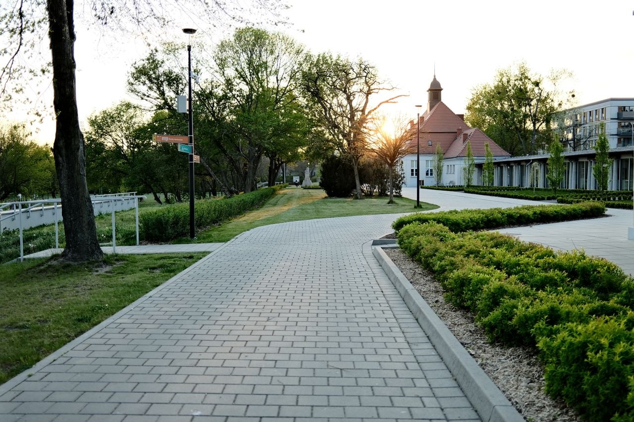 Commercial Garden Design