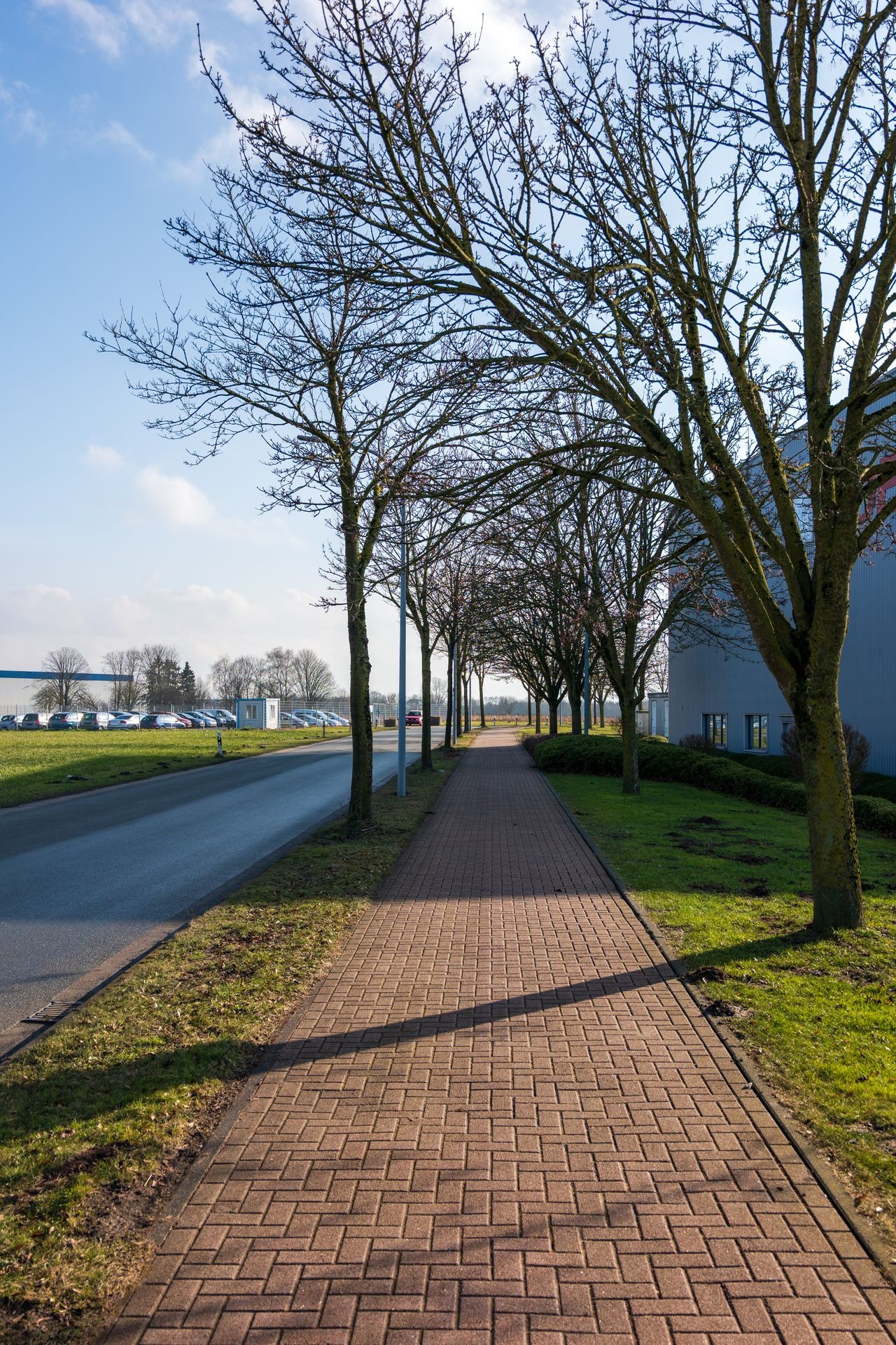 Commercial grounds maintenance in Ireland